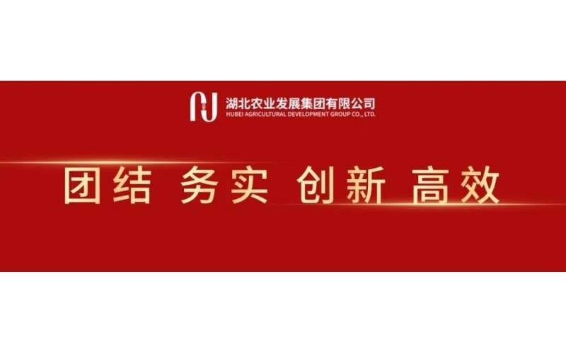 湖北農發(fā)集團召開黨委（擴大）會 傳達貫徹全省集中整治違規(guī)吃喝動員部署會精神